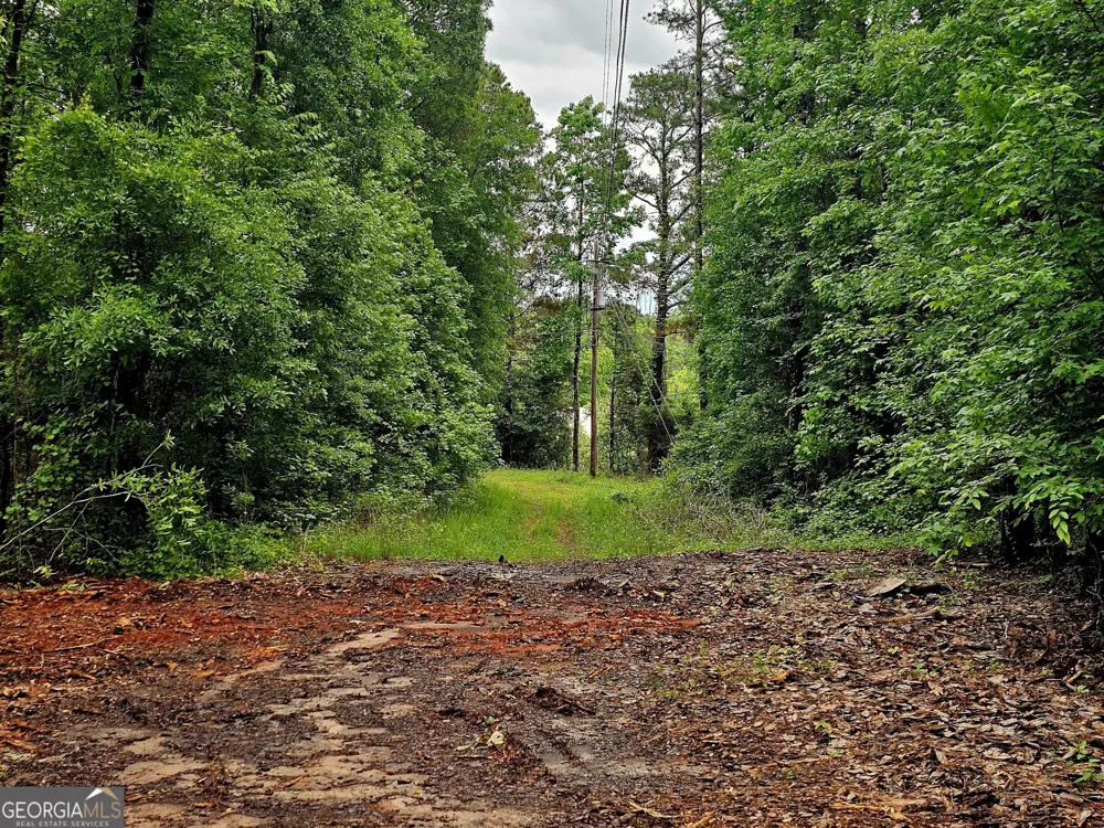 0 School House Hill RD Franklin, GA 30217
