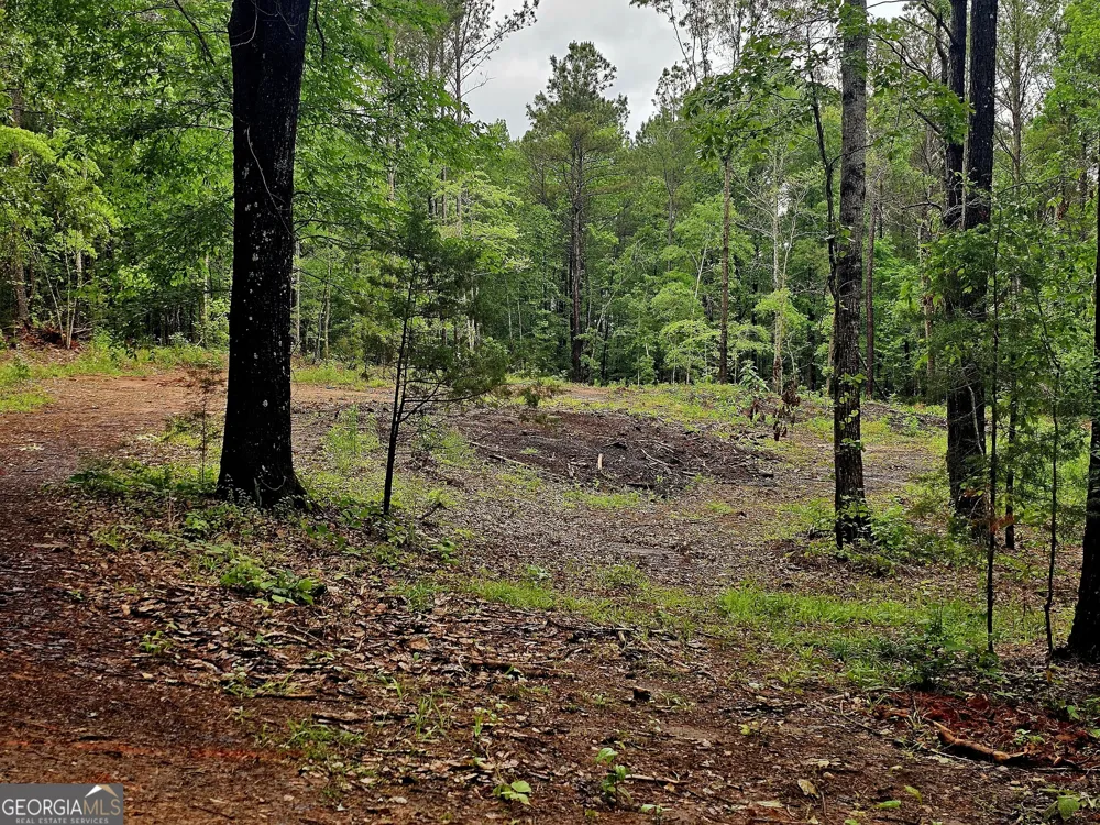 0 School House Hill RD Franklin, GA 30217