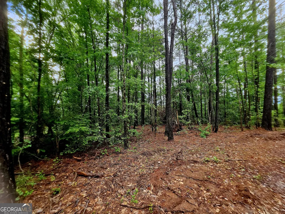 0 School House Hill RD Franklin, GA 30217