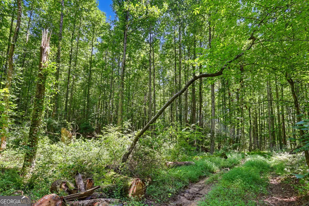 422 Fair Valley RD Demorest, GA 30535