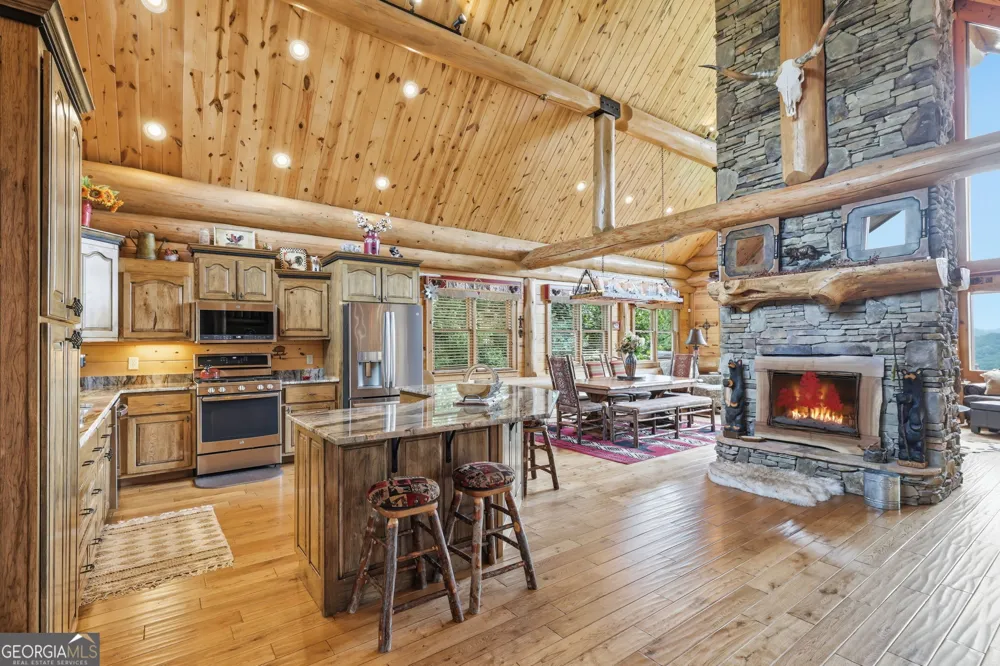 495 Overlook DR Blue Ridge, GA 30513