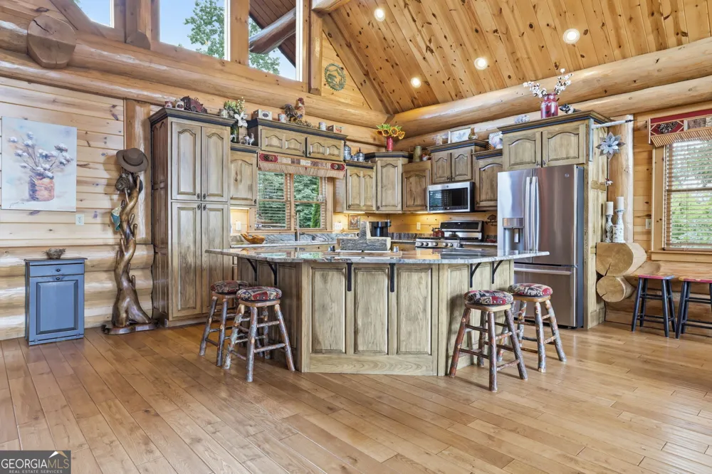 495 Overlook DR Blue Ridge, GA 30513