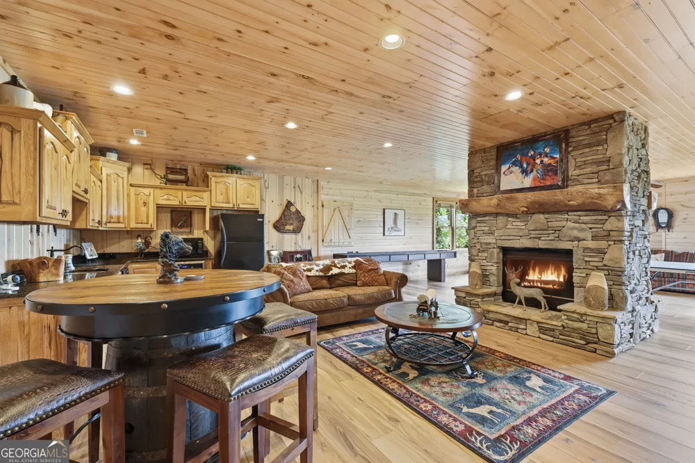 495 Overlook DR Blue Ridge, GA 30513