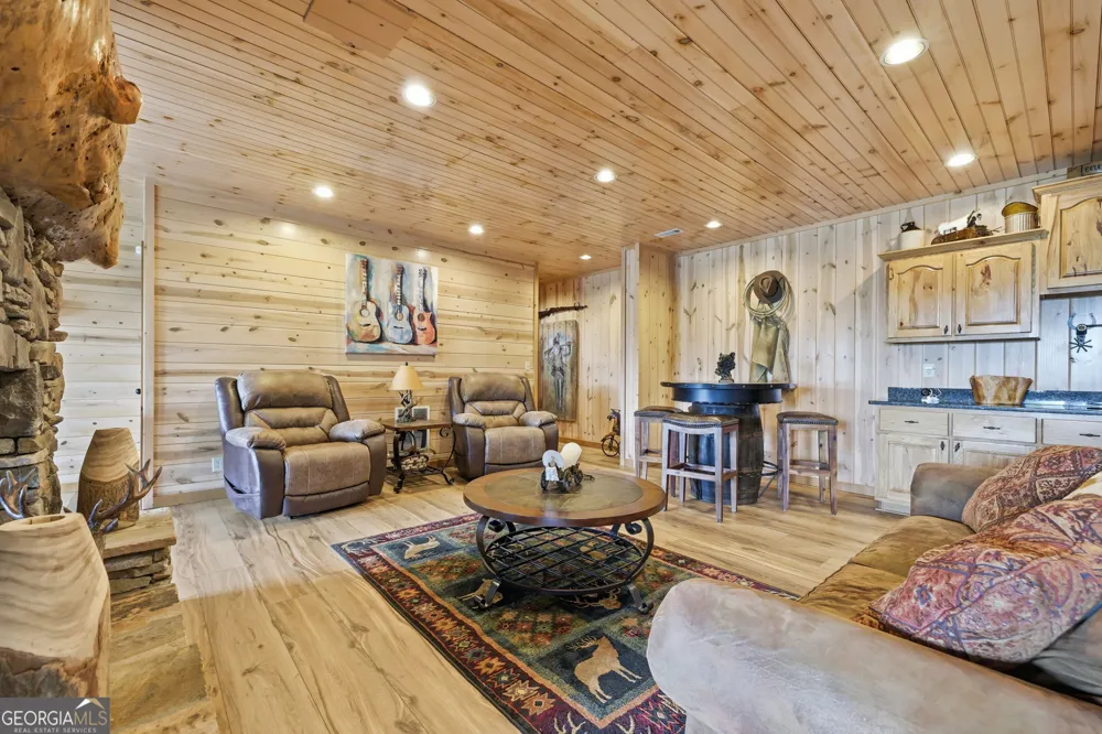 495 Overlook DR Blue Ridge, GA 30513