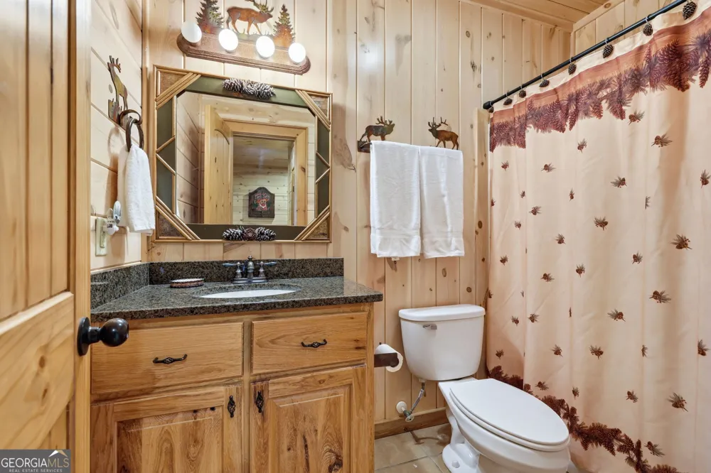 495 Overlook DR Blue Ridge, GA 30513