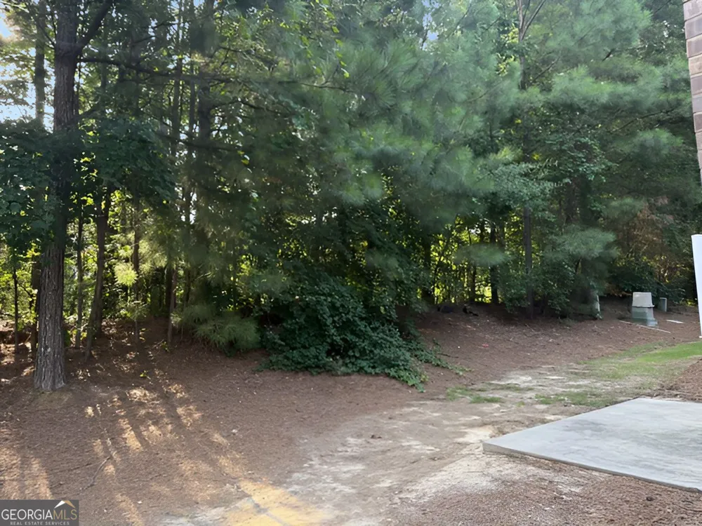 3902 Brockenhurst DR Buford, GA 30519