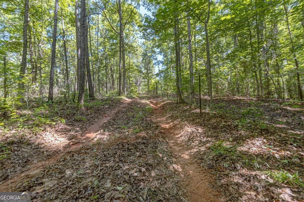 231 Lower Lovelace RD West Point, GA 31833