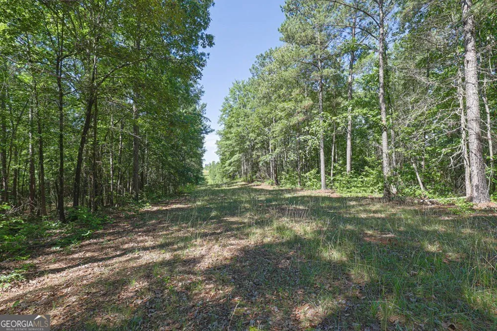 231 Lower Lovelace RD West Point, GA 31833