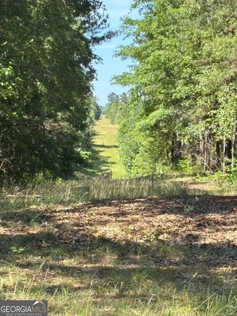 231 Lower Lovelace RD West Point, GA 31833