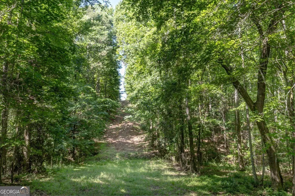 231 Lower Lovelace RD West Point, GA 31833