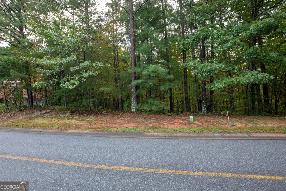 0 Zeppelin Strasse Helen, GA 30545