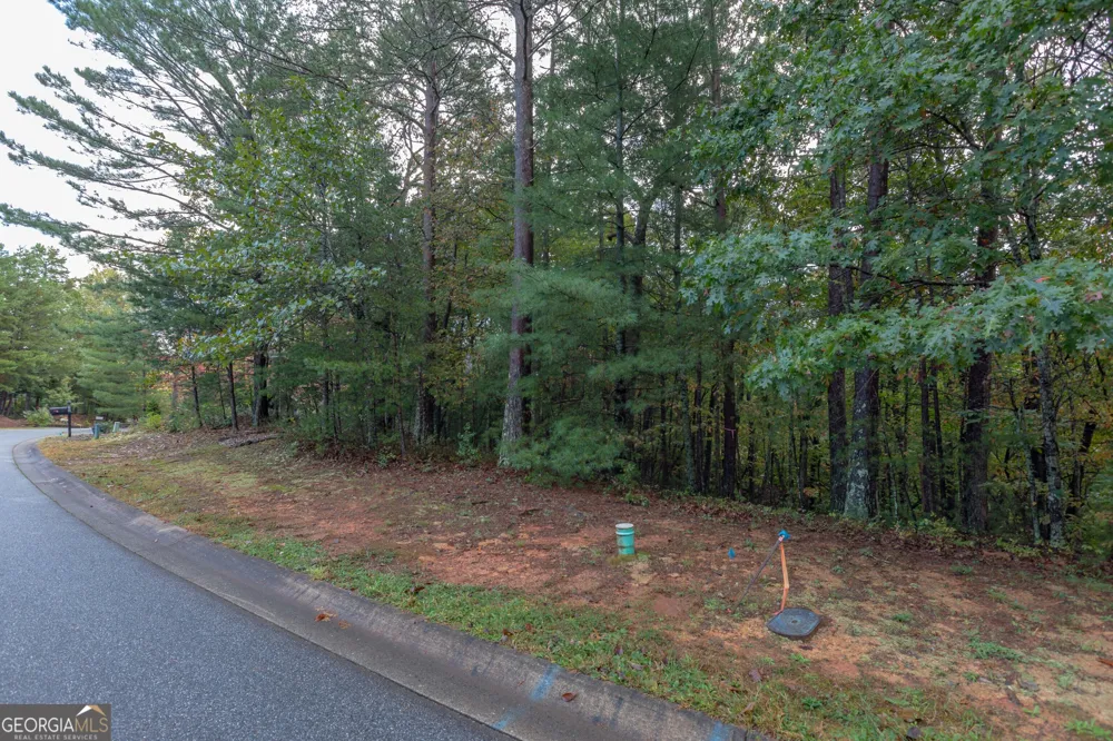 0 Zeppelin Strasse Helen, GA 30545