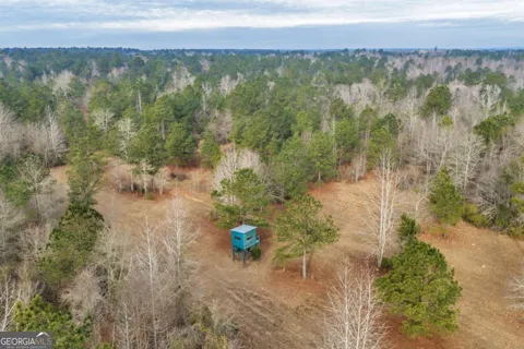 241 Foskey Cemetary RD