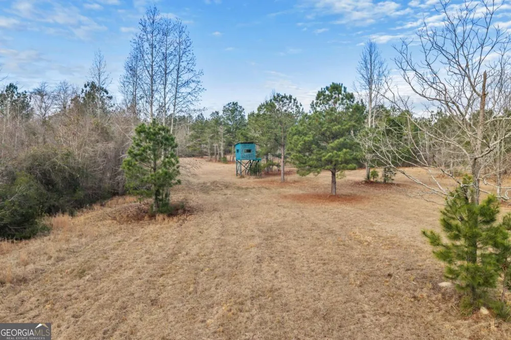 241 Foskey Cemetary RD Adrian, GA 31002