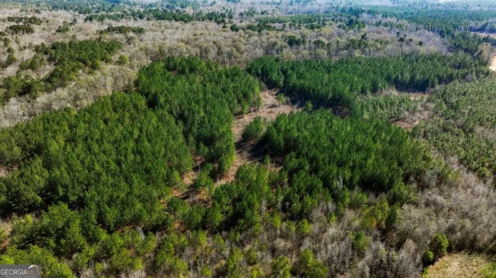 0 Crooked RD Millen, GA 30442