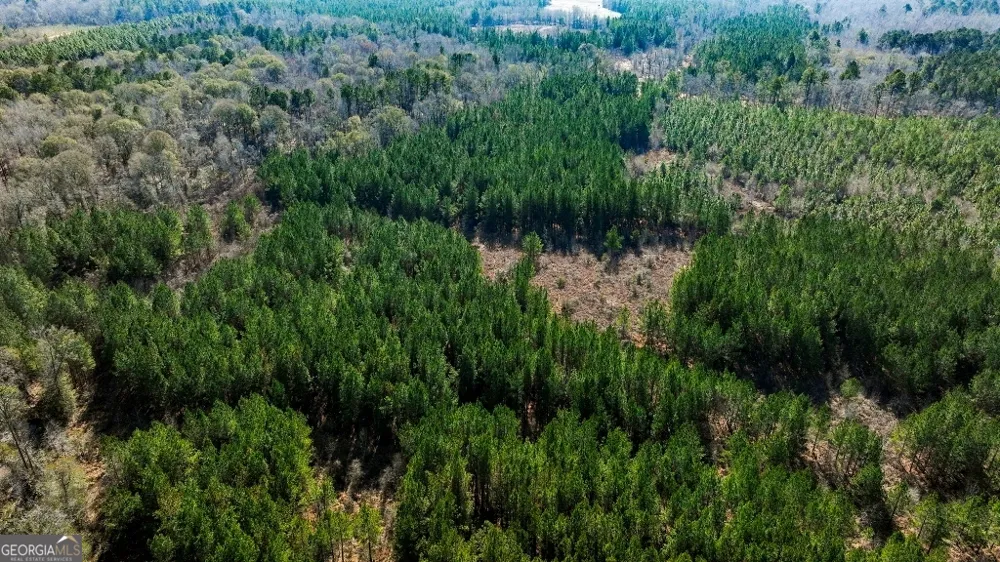 0 Crooked RD Millen, GA 30442