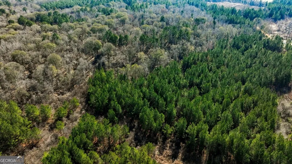 0 Crooked RD Millen, GA 30442