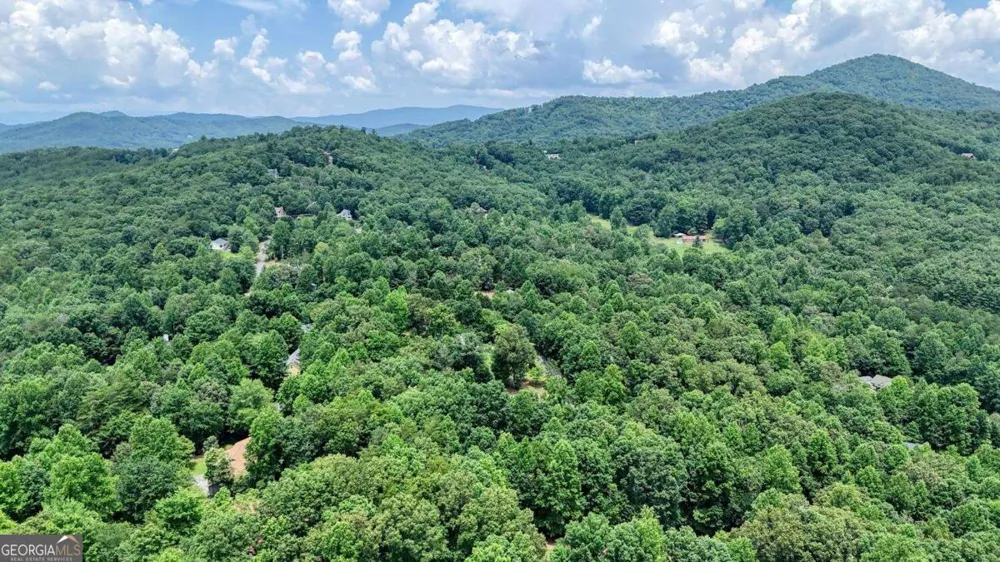 2087 Wood Lake LN Young Harris, GA 30582