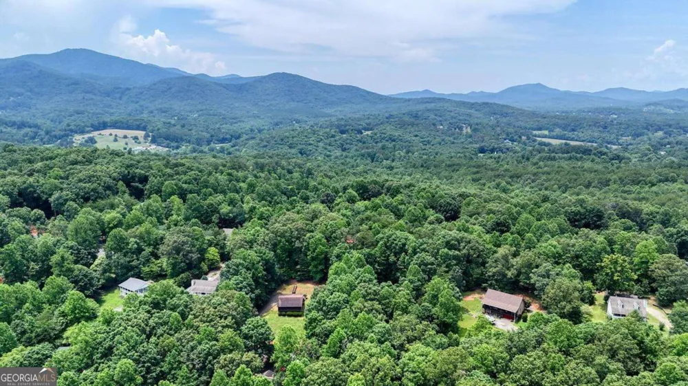 2087 Wood Lake LN Young Harris, GA 30582