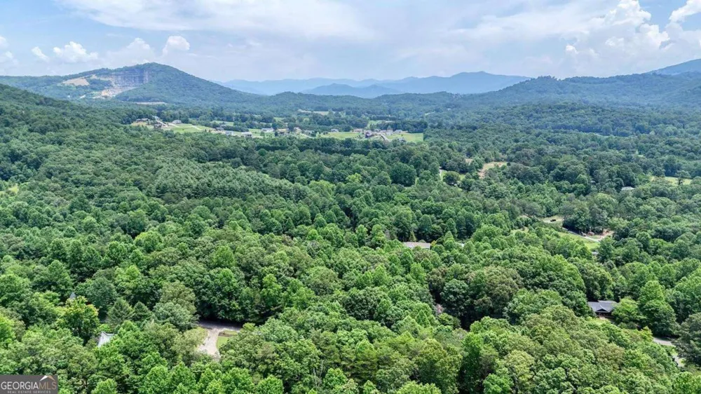 2087 Wood Lake LN Young Harris, GA 30582