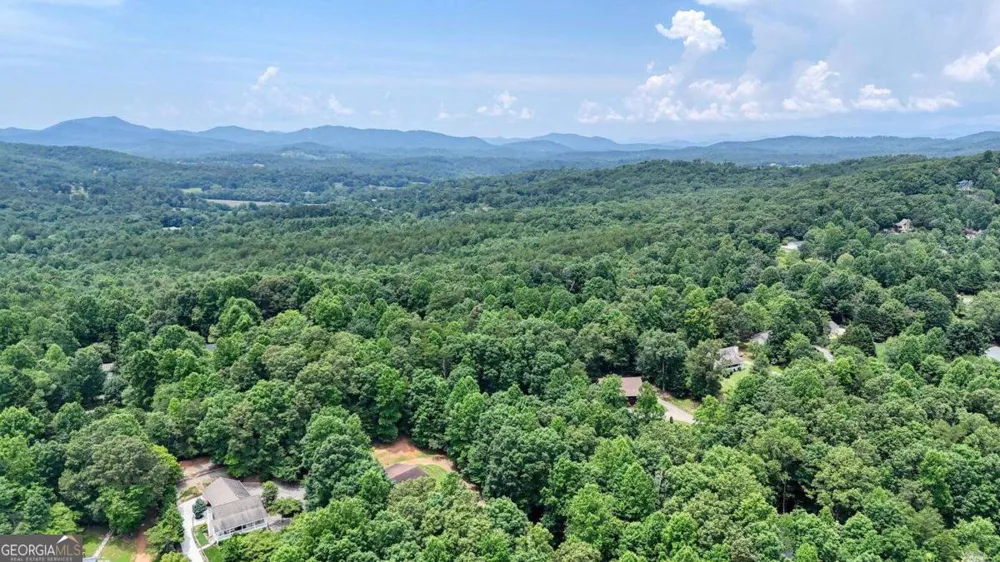 2087 Wood Lake LN Young Harris, GA 30582