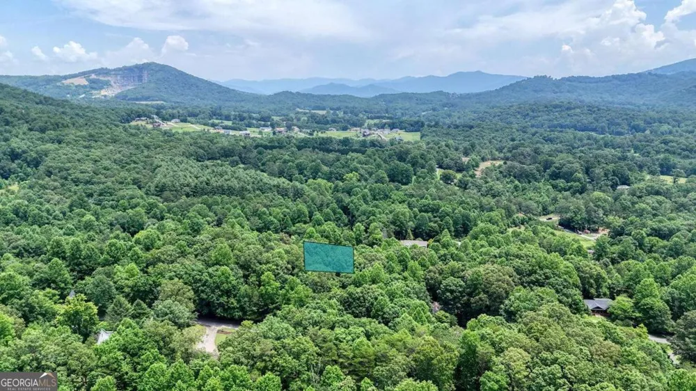 2087 Wood Lake LN Young Harris, GA 30582