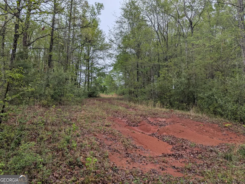 0 Fischer Spur RD Newnan, GA 30265