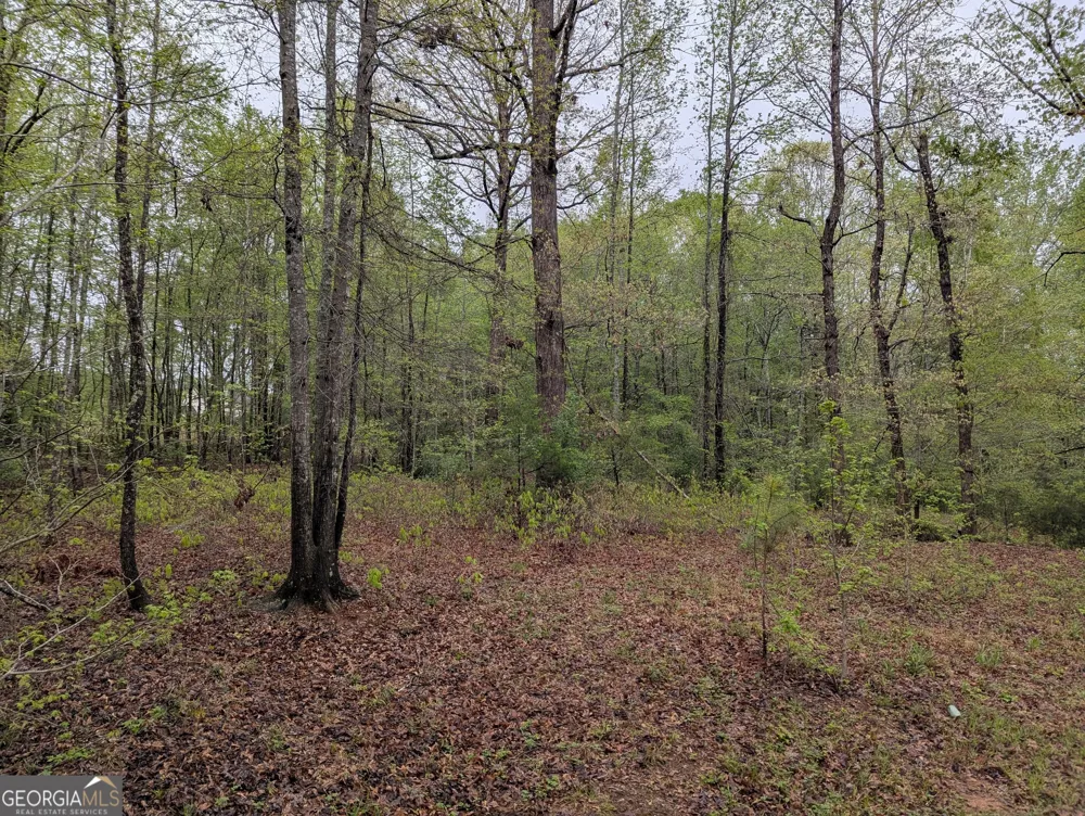 0 Fischer Spur RD Newnan, GA 30265