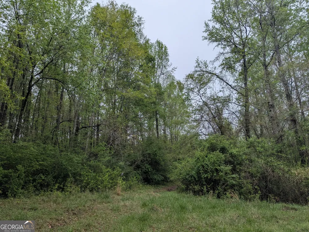 0 Fischer Spur RD Newnan, GA 30265