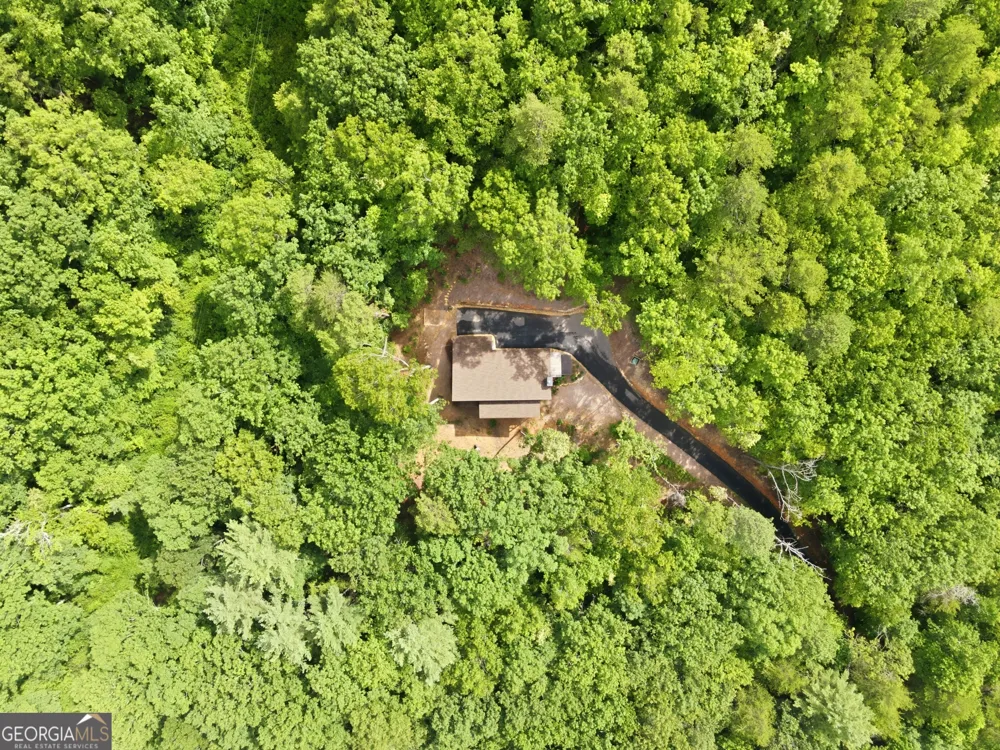 3014 Oakey Mountain RD Clarkesville, GA 30523
