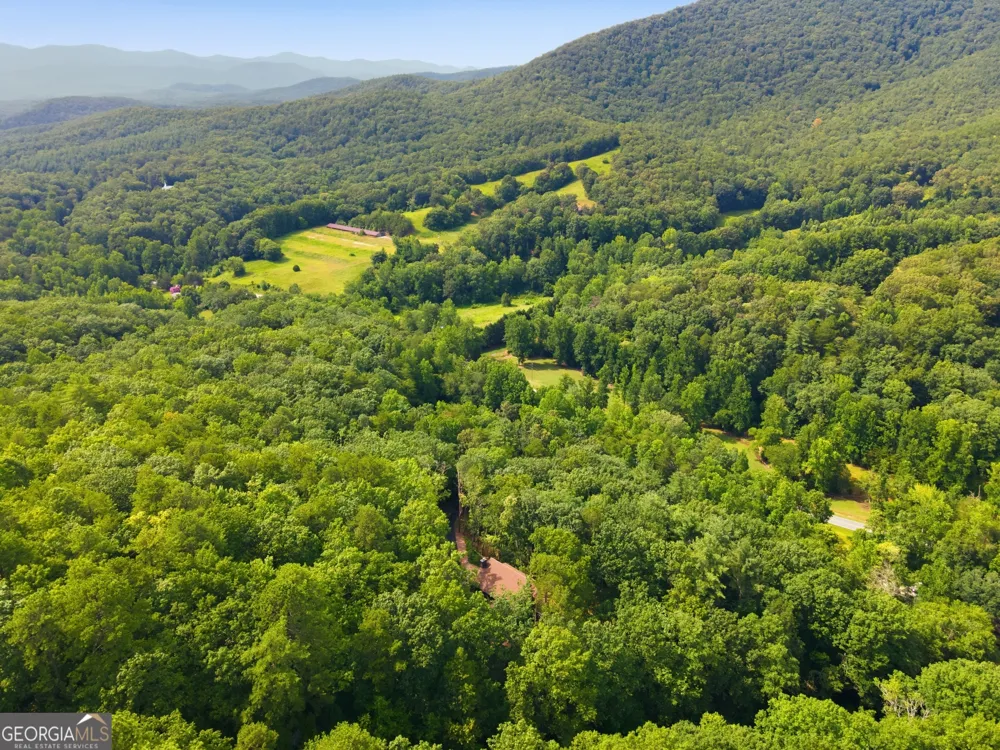 3014 Oakey Mountain RD Clarkesville, GA 30523