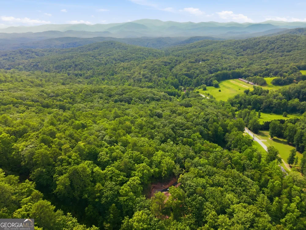 3014 Oakey Mountain RD Clarkesville, GA 30523