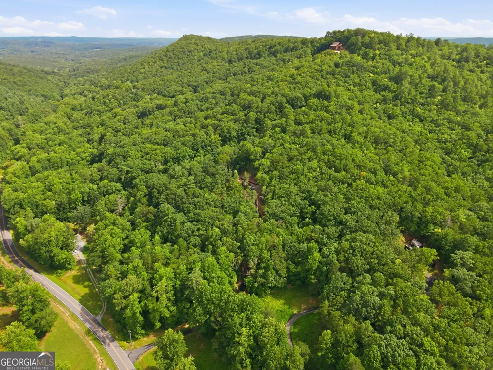 3014 Oakey Mountain RD Clarkesville, GA 30523