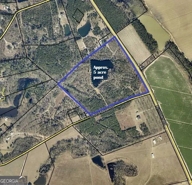 0 Lynntown Road  (Lot 1) Collins, GA 30421