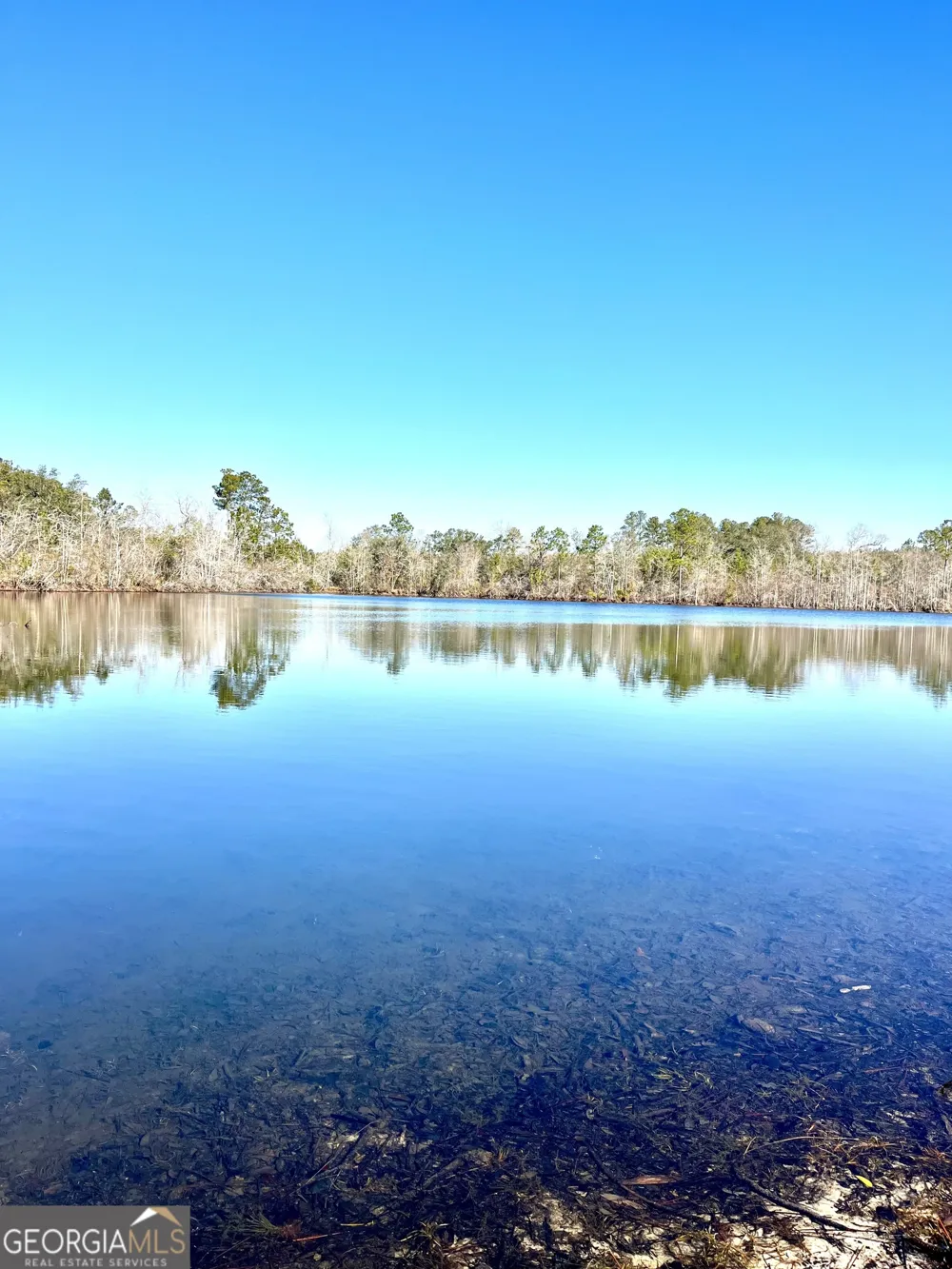 0 Lynntown Road  (Lot 1) Collins, GA 30421