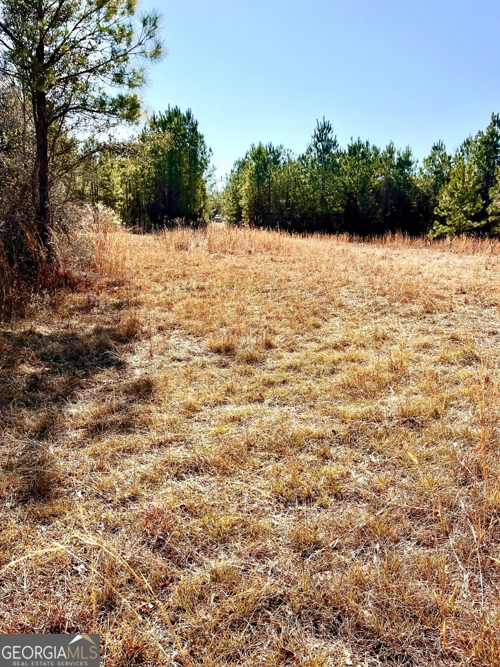 0 Lynntown Road  (Lot 1) Collins, GA 30421