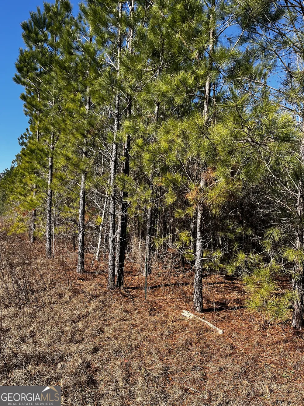 0 Lynntown Road  (Lot 1) Collins, GA 30421