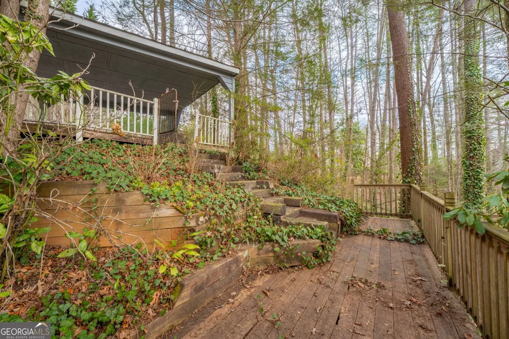 191 Applewood DR Tiger, GA 30576