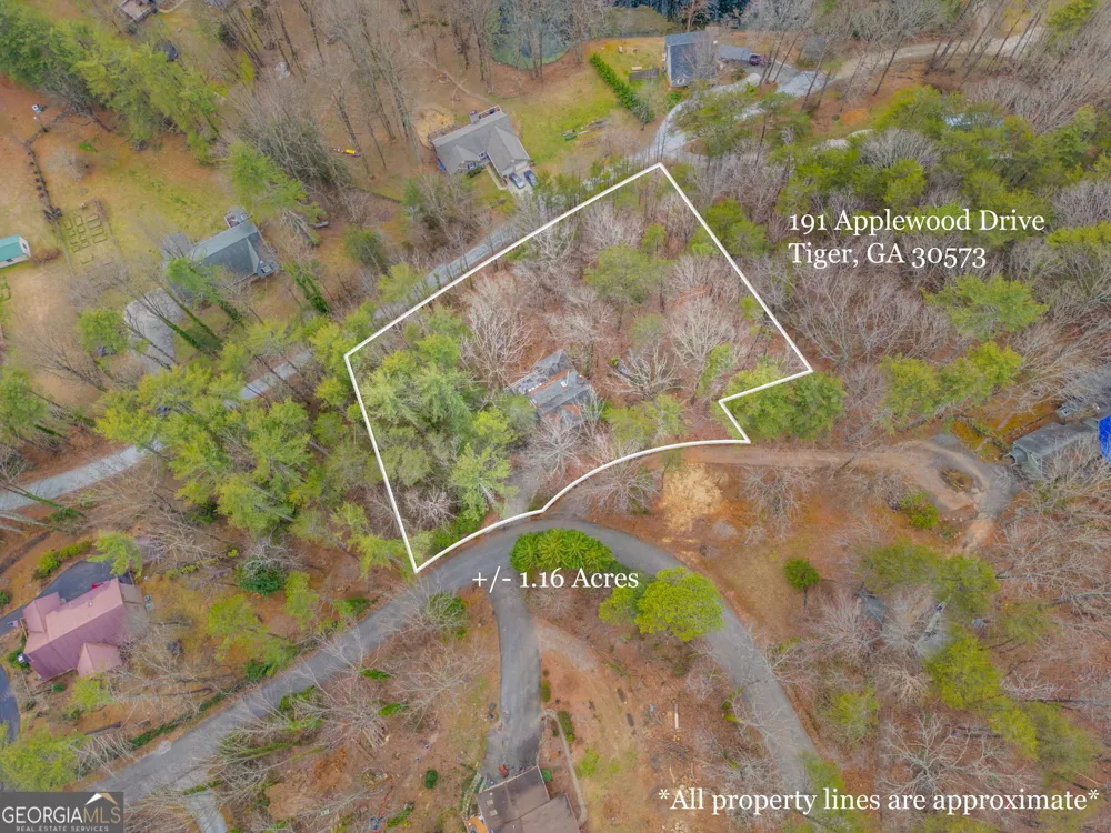 191 Applewood DR Tiger, GA 30576