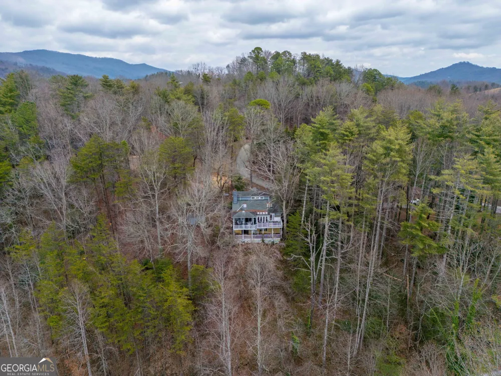 191 Applewood DR Tiger, GA 30576
