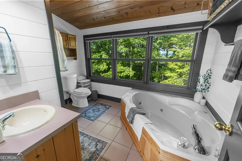 832 Scenic Mountain View RD Blue Ridge, GA 30513