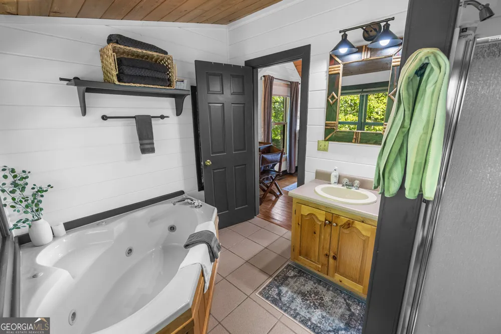 832 Scenic Mountain View RD Blue Ridge, GA 30513