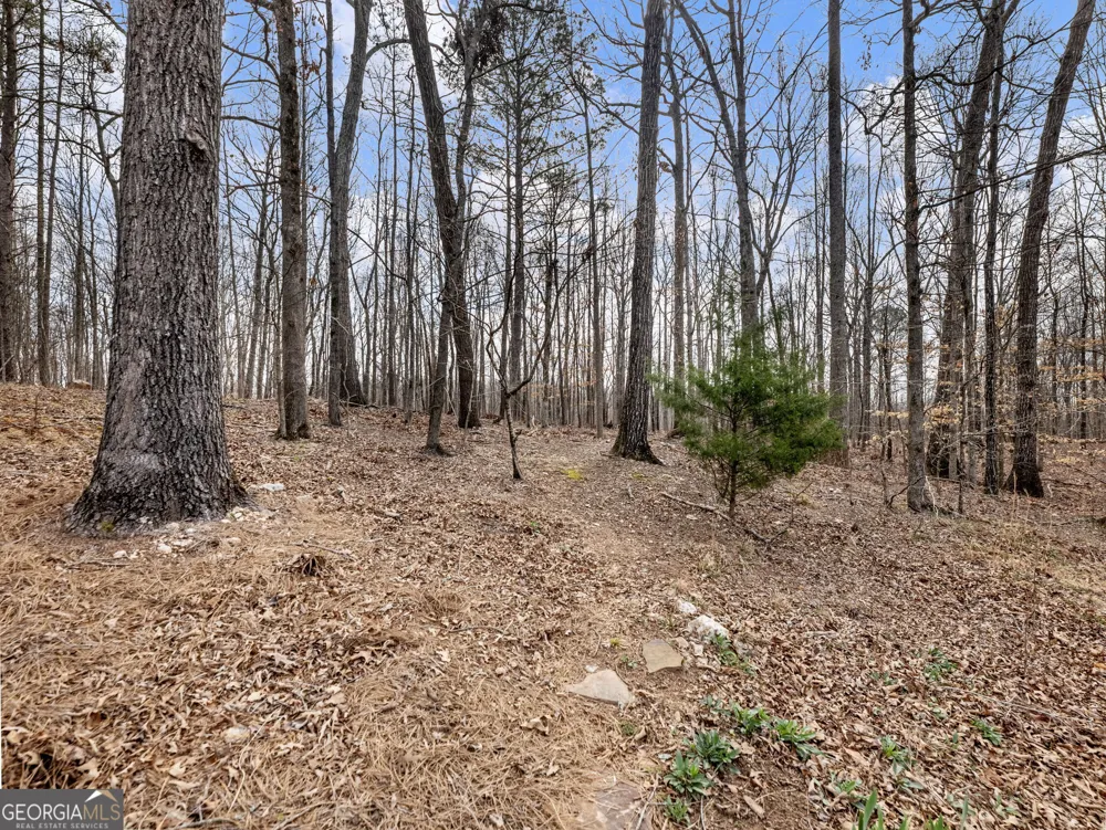 6147 Golf View CT Jefferson, GA 30549