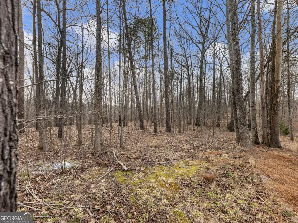 6147 Golf View CT Jefferson, GA 30549