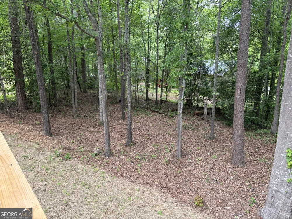115 Richard ST Clarkesville, GA 30523