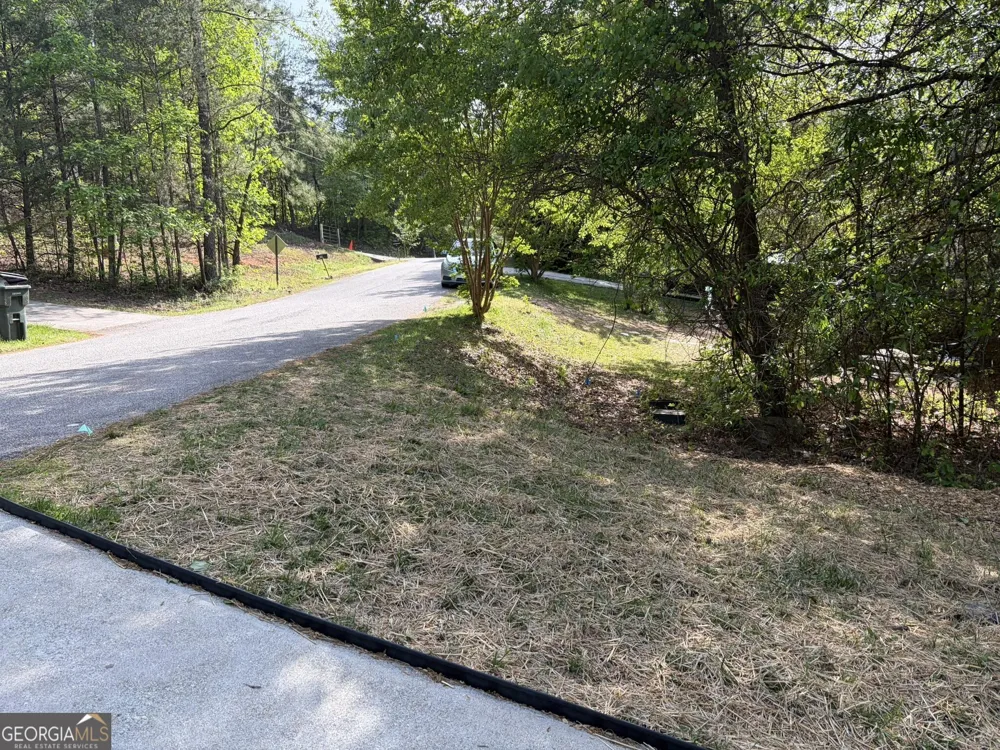 115 Richard ST Clarkesville, GA 30523