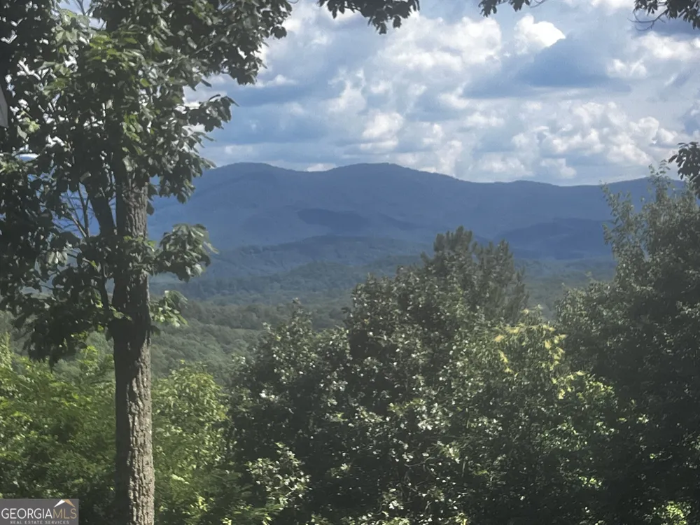 157 Misty Mountain LN Blue Ridge, GA 30513