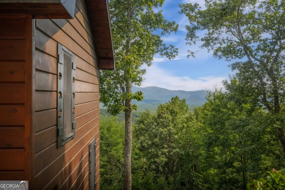 157 Misty Mountain LN Blue Ridge, GA 30513