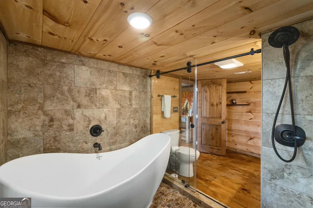 157 Misty Mountain LN Blue Ridge, GA 30513