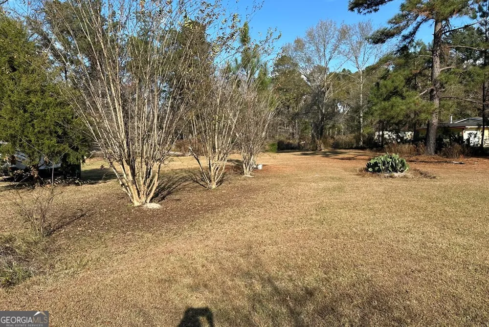 686 Victory CIR Lyons, GA 30436